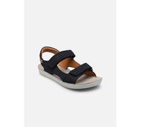 Shoo Pom Goa Boy Scratch 26 Azul