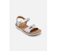 Shoo Pom Goa Heart 25 Plata