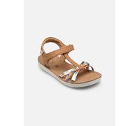 SHOO POM Sandalias con velcro GOA SALOME. Color camel