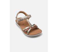 Shoo Pom Goa Salome 27 Plata