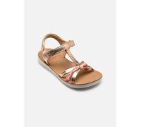 Shoo Pom Goa Salome 34 Plata