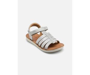 Shoo Pom Goa Spart 24 Plata