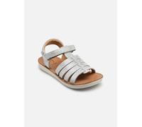 Shoo Pom Goa Spart 24 Plateado