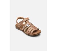 Shoo Pom Happy Spart 24 Rosa