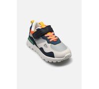 Shoo Pom Joggy Scratch 34 Multicolor