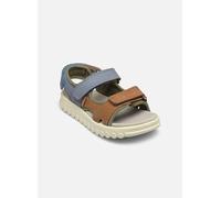 Shoo Pom Rolly Boy Scratch 33 Multicolor