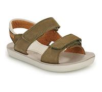 Shoo Pom Sandalias GOA BOY SCRATCH in Kaki 24