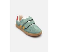 Shoo Pom Yuzu Lo Scratch 34 Verde