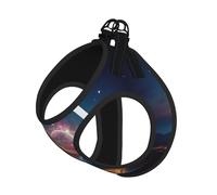 Shooting Star - Juego de correa de arnés con estampado de corazón para gato y perro, chaleco reflectante ajustable a prueba de fugas con malla suave y transpirable, para mascotas pequeñas y cachorros