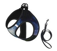 Shooting Star - Juego de correa de arnés con estampado de corazón para gato y perro, chaleco reflectante ajustable a prueba de fugas con malla suave y transpirable, para mascotas pequeñas y cachorros