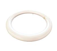 Shop SoftAir® Circuline LED Consumo 19W Coincidencia 120W Diámetro 30cm 1950LM lúmenes Luz Blanco Natural 4000K Cálido 3000K Fría Casquillo G10Q T9 (Luz Fría 6500k)
