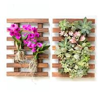 ShopLaLa Macetas de Pared - Paquete de 2 macetas de Madera para orquídeas para Exteriores, Soporte para Plantas de Aire y suculentas, Soporte Vertical para Plantas de jardín, decoración de Pared,
