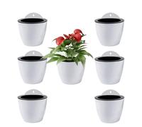ShoppeWatch Macetas Colgantes con Riego Automatico 7 Unidades | Pared Maceteros Decorativas Interior | Jardineras Exterior Balcon Mediano de 13 cm con Ganchos