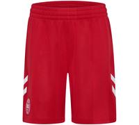 Short de Domicilio niño Dinamarca Coupe du Monde 2026 12 ans