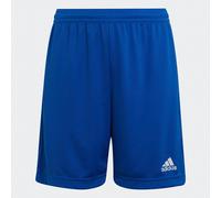adidas Unisex niños Entrada 22 Shorts, Royal Blue, 13-14 Years