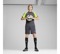 PUMA IndividualLIGA Training Shorts 2 (Open Pockets), Pantalones Cortos de Punto Hombre, Galactic Gray-Yellow Alert,
