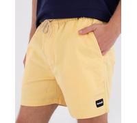 Shorts Mens - Icon Ewalkshort 17'