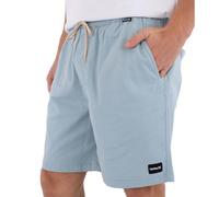 Shorts Mens - Icon Ewalkshort 19'