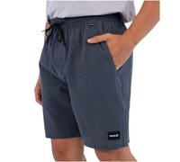 Shorts Mens - Phantom Flow Volley 18'