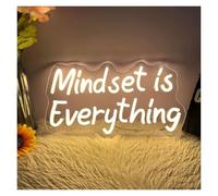 SHOUXI Decoración Lámparas Letrero De Neón Mindset Is Everything Luz LED USB Para Decoración Aula, Oficina, Sala Juegos, Dormitorio 40x22.5cm