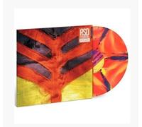 Show Your Bones (DVD) Yeah Yeah Yeahs