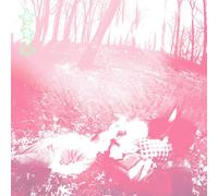 Shower Curtain - Words From A Wishing Well [Vinilo]