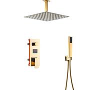Shower System Rain Luxury High Pressure Shower Combo Set Concealed Shower Fixtures with Shower Head and Handheld Spray, Golden Finish,Ceiling 16inch