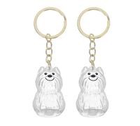 SHOWERORO 2 Piezas Llavero Memoria Mascotas Caja Transparente Recuerdo Pelo Perro Gato Portátil Seguro
