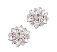 SHOWERORO Clips para Zapatos de Cristal Delicados Adornos Desmontables con Decoración Brillante para Mujer Bodas y Fiestas de Accesorios DIY para Novias
