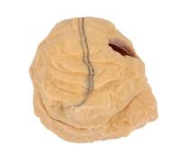 SHOWERORO Cueva para Reptiles de Resina Tamaño S Diseño Superior E Inferior, Entorno Cálido y Seguro Adecuado para Selva Tropical y Desierto