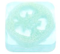 SHOWERORO Jabón Artesanal de Esponja Vegetal Refrescante para Piel Barra Natural para Baño y Limpieza Hecho Mano para Hombres y Mujeres