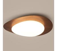 SHUANGZ Lámpara De Techo LED Minimalista Diseño En Forma De Huevo Lámpara De Techo De Montaje Empotrado iluminación De La Cocina Panel De Luz del Pasillo 3 Decoración del Hogar del Pasillo