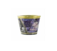 Shunga Vela de Masaje Libido, Aroma de Frutos Exóticos, Color Blanco - 170 ml