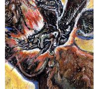 Shungu - Faith in the Unknown