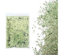 SHUOHONG 100g Purpurina Cara Festival, 3 Tamaños Mezclados Glitter Maquillaje, Brillantes para la Cara, Purpurina Pelo, Brillo Uñas para Manualidades Brillante Decoración Festival (Verde Claro)