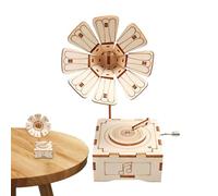 Shurzzesj Kit de caja de música, Kits de modelos de madera para adultos - Decoración de oficina de caja de música mecánica | Decoraciones de caja de música, Kits de construcción artesanal para niñas