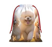 SHuWeiD Bolsa de regalo de terciopelo súper suave con estampado de Oodles of Poodles, bolsas de regalo multiusos para almacenamiento de dulces y comestibles