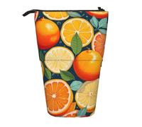 SHuWeiD Funda retráctil vertical con estampado de cítricos, apta para bolígrafos, cosméticos y pequeños elementos esenciales, uso diario, Negro, One Size, Moda