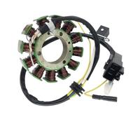 ShwyBDrbw Bobina magnética del estator 192MR-1001410 Compatible con J500 500cc ATV Quad