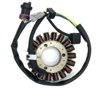 ShwyBDrbw Conjunto de Bobina magnética de estator refrigerado por Agua 2.1.01.2060 para Quad ATV de 300 CC