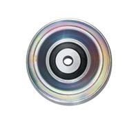 ShwyBDrbw Polea Loca 3847482 Compatible con Motor diésel intraborda Marino Penta D4 D6