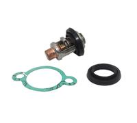 ShwyBDrbw Termostato Sistema de refrigeración del Conjunto del Motor fueraborda 122.0 °F 125 ℉ Compatible con fueraborda 4 5 6 8 9,9 15 55 75 100