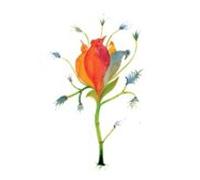 Si Lloviera Un Bosque En El Poema