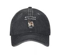 Si no Puedo llevarme a mi Perro, ¡no voy!, Gorra de Verano Transpirable de Akita Design Sombrero de Béisbol de Mujer