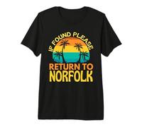 Si se Encuentra, regrese a Norfolk, I Love Norfolk Day Camiseta Premium