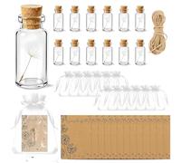 SI SEN Juego de 12 pequeños rellenos de deseos: diente de león real en vaso + tarjeta de felicitación + bolsa de gasa + cuerda de cáñamo | amuleto de la suerte regalo para Navidad, cumpleaños y bodas