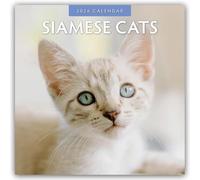 Siamese Cats 2026 Square Wall Calendar: Original Red Robin Publishing Ltd-Kalender [Mehrsprachig] [Kalender]