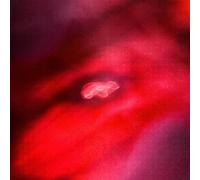 Siavash Amini & Saffronkeira - The Faded Orbit [Vinilo]