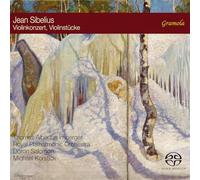 Sibelius : Concerto et autres œuvres pour violon. Irnberger, Korstick, Salomon.