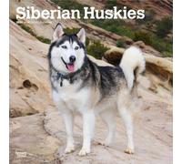 Siberian Huskies - Siberian Husky 2026 - 16-Monatskalender: Original BrownTrout-Kalender [Mehrsprachig] [Kalender]